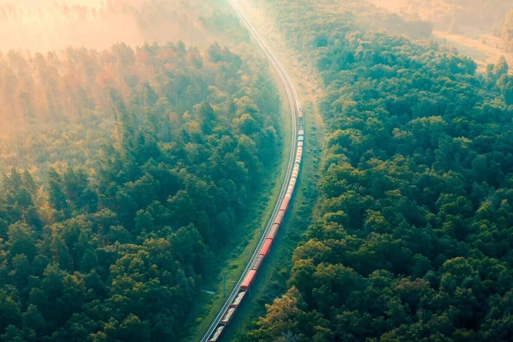 eco